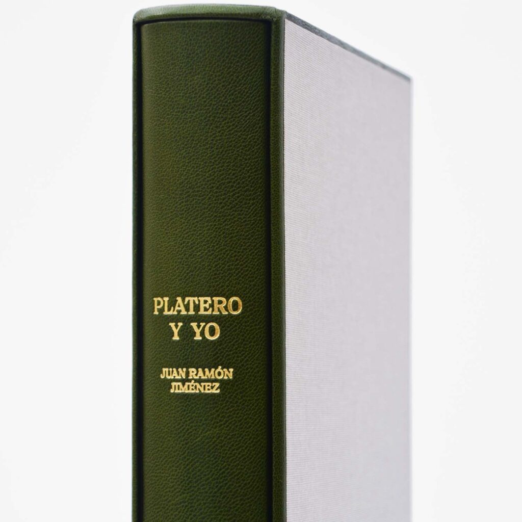Platero 07